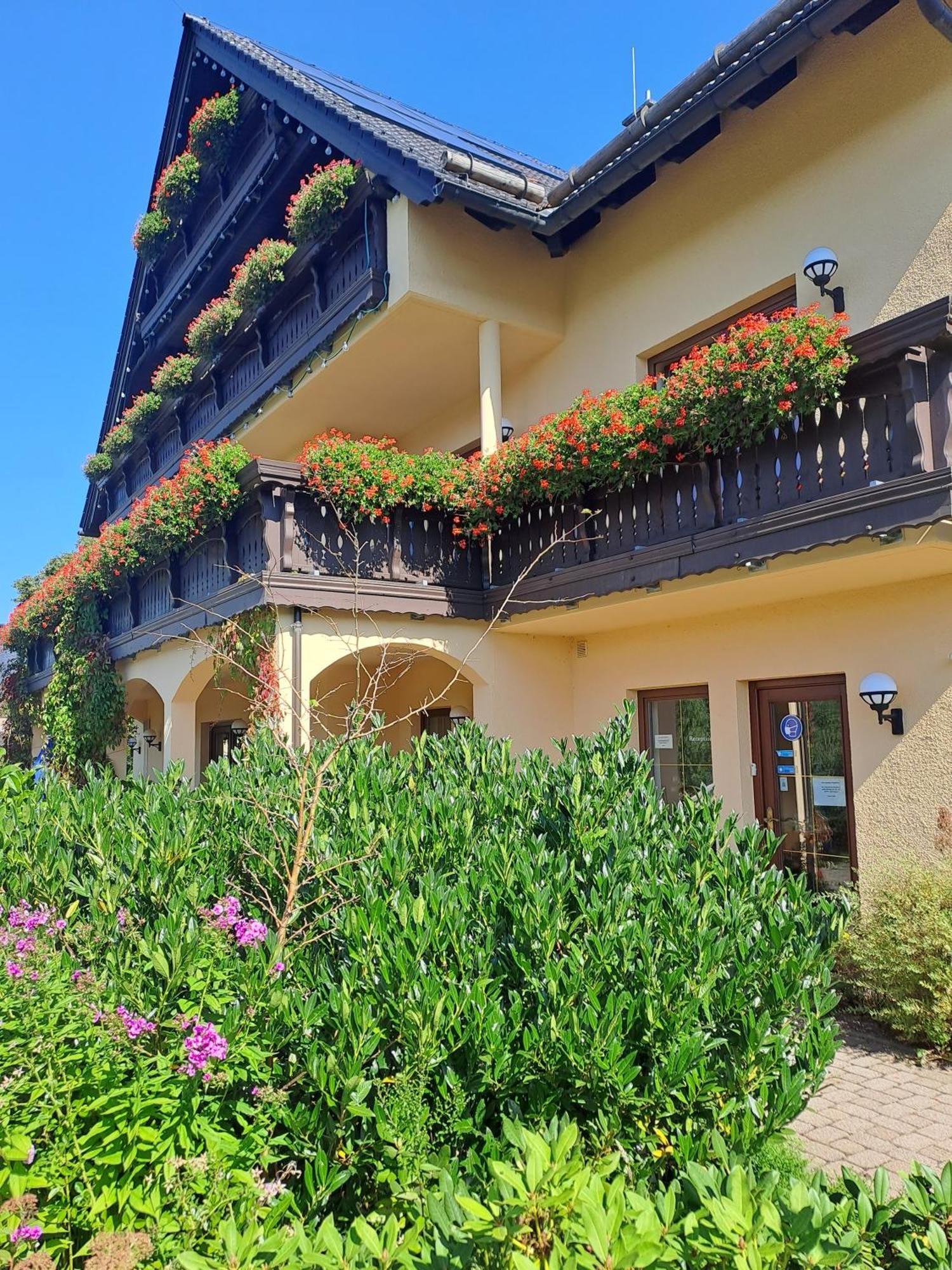 Pension Bergblick Мариенберг Экстерьер фото